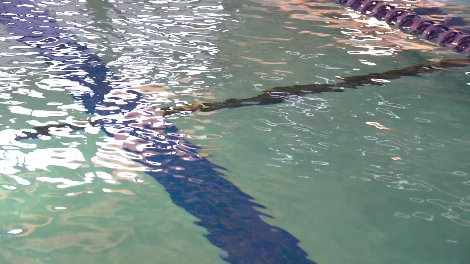 Officials discuss recent South Florida drownings and how to prevent them